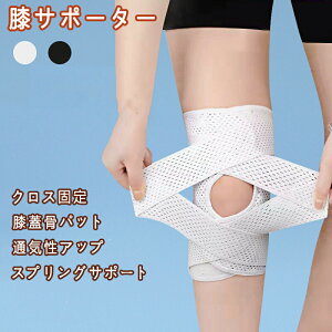 GT|[^[ G Ep 傫 TCY X|[c  Ђ T|[^[ }WbNe[v jO }\ oXP o[ Y fB[X jp x   Wp[ G 