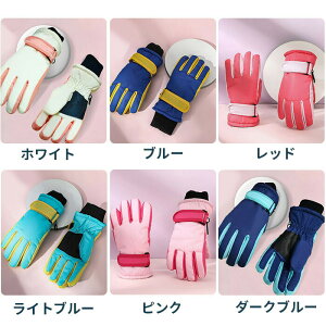 p Xm[O[u q qǂ LbY XL[ Xm{[ h O[u h ۉ EB^[X|[c AEgbg ܖ{w  Xm[{[h XL[pi hO[u ph 