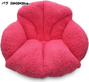 {Azc `FANbV w ᔽ  `FApbh }CNt@Co[ SnQ ̈U 59*38*38cm 傫 ^ 􂦂Jo[ Uug z[ xbh Ǐ  e