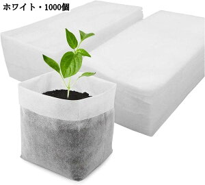 sDzc|bgobO 1000 c|bg A |v^[   t[cp 瑣i