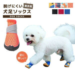  C C ̌C hbOV[Y O veNV V[Y \tg EȂ ی h n tNeBC X|[c    VjA PA ^ ^ 4Zbg 