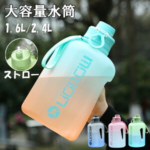  e ڐ 1.6bg 2.4bg X|[cWO Xg[  nht l ǂ q X|[c X|[c{g Lvp AEghA y vX`bN Vv IV