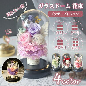 vU[uht[ KXh[ {̉ ԑ t[  ͂Ȃ a v[g zCgf[ ̓ hV̓ LO 