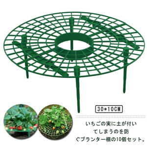 v^[ 10Zbg 10cm ͔|I C`SI 䕕cI cI xI |x v^[I xT|[g x ݒuȒP |