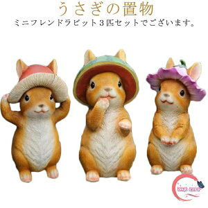  rbg ETM e K[fjO u  rbg I[ig  킢   k K[f  CeA ETM |  K[fIuWF  