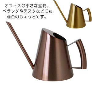 WE @JI K[fjO CeA ƒp  XeX |pi Up | ϗtA | ^т₷