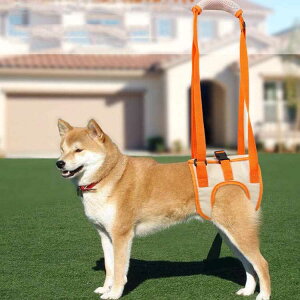 p n[lX s⏕n[lX  둫 ^ ^ ^p hbOn[lX V sT|[g ⏕ U p  Ck pi pi  ybgpi