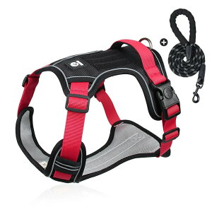 ybgpn[lX[hZbg  n[lX ^ ^  p  SȂ  _ubN bV ɂ ȒPCk hbO o U Oo ʉ@ 