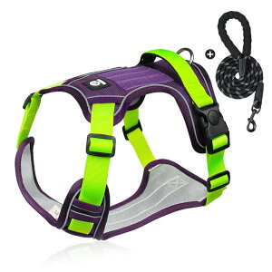 ybgpn[lX[hZbg  n[lX ^ ^  p  SȂ  _ubN bV ɂ ȒPCk hbO o U Oo ʉ@ 