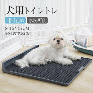  gC pgCg[ ybggC p g[jOg[ hbOg[ XNGAhbOg[Uh~ V[cjh~ ĉ\ ȒP ې􂢉\ 