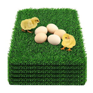 lH pl lHŃ}bg Ő ŏ 25mm 30X30cm 1/6/8/12/Zbg Yp}bg }bg ybg}bg x_ ^C lHŐ A Ő x  ItBX ƒ Ǝ{ 