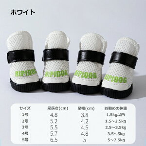  C C pC ̌C ₷ EȂ C ~ Up C hbOV[Y ^ ΍ ybgV[Y hbO u[c ^̌C h y y hbOV[Y 