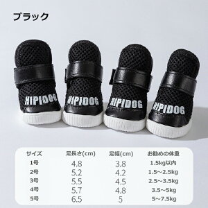  C C pC ̌C ₷ EȂ C ~ Up C hbOV[Y ^ ΍ ybgV[Y hbO u[c ^̌C h y y hbOV[Y 