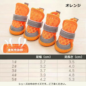  C C pC ̌C ₷ EȂ C ~ Up C hbOV[Y ^ ΍ ybgV[Y hbO u[c ^̌C h y y hbOV[Y 