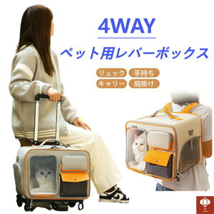 ^ L 莝 | LX^[t L[ bN J[g  ybgnEX ܂肽 bV   rj[ яoh~ }bg o s hCu U h 