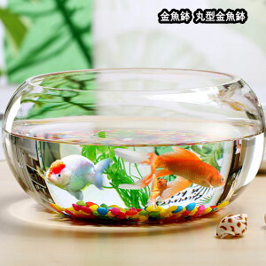 Vi 10|Cgϔ{  ی^  ^ 琅 KX _J  _J  e[u ANAE {E ϗtA e  CeA | e  (20c