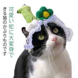 N 蕨 ybg nEB 蕨 wr Ԃ ւ   Xq wr RXv L pXq  L ϐg nEB NX}X RX`[ փLbv ߉\ EȒP 2025