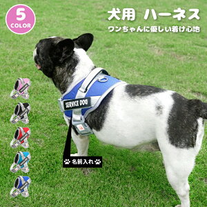   n[lX O  Pi  CjV ȒP h~ Ȃ ^ ^ ^ 킢 U o AEghA qh~ ʋC iC }WbNe[