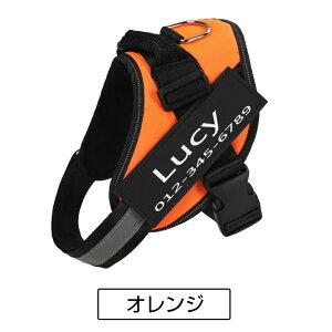  n[lX ^ ^ ^  pn[lX ̃n[lX 킢 Ȃ ɂ EȂ Eɂ Č lC s⏕ \tgn[lX EGAn[lX ȒP bN