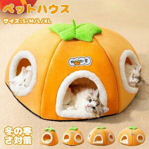 ybgnEX@L  xbh eg h[^ LbgnEX ʔN ObY  ˂nEX ^ Lp p ybgp 킢   Ck lR NbV I[V[Y  B 