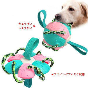 oE N[ C^NeBuTbJ[ g[jO O ^ {[ @\tCOfBXN ybĝ