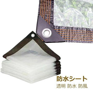  | RpNg ܂肽 h h  Jo[ rj[ [vt O V[g O 悯 J悯 