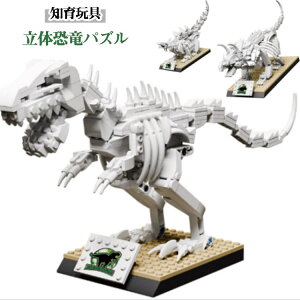 pY  i m   ͌^ gݗ pY  CeA IuWF NX}X a