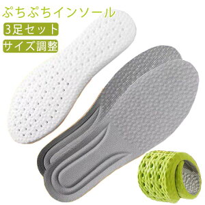 C\[ ~ d Ռz ӂӂ 3Zbg ؖ ʋC ؗ̓T|[g hL TCY G X|[c 싅 fB[X Y SC ᔽ 