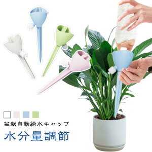 ϗtA  ybg{g 蓖 ƒp Lbv 4/612Zbg     |pi @  Up    ybg{g L