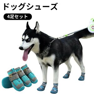  C C ̌C hbOV[Y V[Y n[h h X|[c   \tg h _炩 VjA PA ^ bV ɂS }WbNe[v u[ PKh~ 