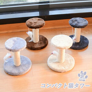 Lbg^[ Lbgc[ u ^ ܂Ƃ W] ^ qL VjA ^s L gݗ ݒu ȒP L ˂ ӂӂ  ybgpi ybgObY i ~j 