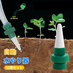 Lbv  A 蓖 12Zbg  A 傤 @ UVXe TCN    ybg{gΉ Up 