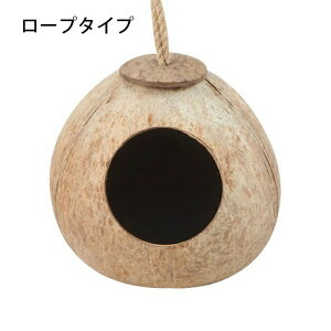 ̑ RRibck  nEX B ̑ o[hnEX VRf    CR IJCR nX^[nEX bg  Q ^ nbN  n