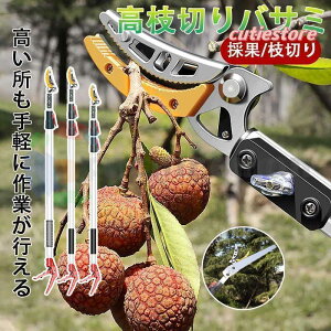 }؂oT~ 3m 4m 5m Lk} t Lk  } }p SK5  |p͂ } }؂ } }؂ \͂