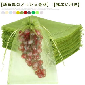 Ԃǂ 񂲑 ʕlbg 100 ʕ یlbg hlbg 悯 悯 т  C`S ʎp hlbg ʕی ʎ J