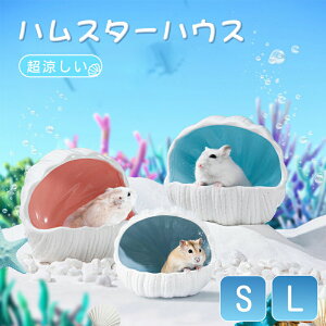 nX^[pnEX Lk L nEX  Q B ~` ėp nX^[pP[W nX^[ đ΍ nEX ւ  B CeA  􂦂  nX^[ ʔ  