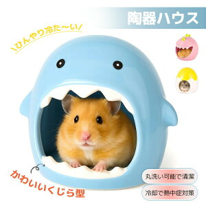 nX^[ nEX nX^[  B S[f nX^[ LN}  CR X ybg  nEX xbh   Q  NbV  CG[ zCg X^[ 