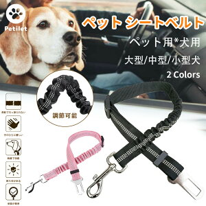 ybgp V[gxg яoh~ pV[gxg  [h Ԑp[h тh~ ȒP pV[gxg ߉\ Lk ϋv ֗ y Ԃ̒ U