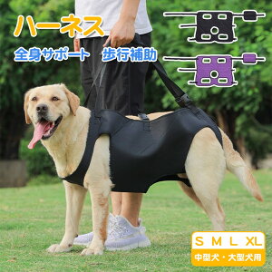 SgT|[g  n[lX s ⏕ ^ ^ K Ȃ  V aC p s⏕n[lX n[lX ߂łoh IV  EȂ Ȃ ⏕ ^ U