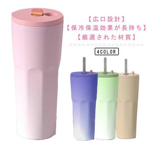 Xg[t Wt 700ml Xg[t^u[ ^ ڂȂ  e  R[q[^u[ ۉ ۗ fM Of[V Xg[t XeX }OJbv ^u