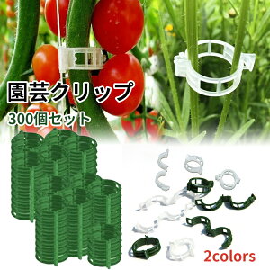 |Nbv UNbv 300Zbg vX`bN Ax  |pЂ |Nbv UNbv xNbv Nbv vX`bNNbv AŒNbv |p