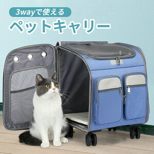 ybgL[ LX^[t L Lp L[ J[g  ^ ybg bNL[obO ܂肽 4way ʋC U s ʉ@ hЗp