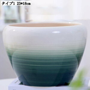 pv^[ Mt K[f|bg T{e Ap e ȐAؔ CeA 23*18cm ؂ǂ Apvg|bg w̍Aؔ zԗp yڂ