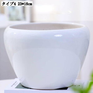 pv^[ Mt K[f|bg T{e Ap e ȐAؔ CeA 23*18cm ؂ǂ Apvg|bg w̍Aؔ zԗp yڂ