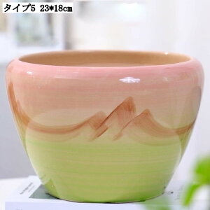 pv^[ Mt K[f|bg T{e Ap e ȐAؔ CeA 23*18cm ؂ǂ Apvg|bg w̍Aؔ zԗp yڂ