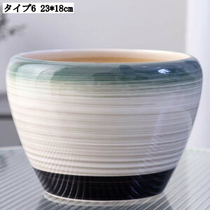 pv^[ Mt K[f|bg T{e Ap e ȐAؔ CeA 23*18cm ؂ǂ Apvg|bg w̍Aؔ zԗp yڂ