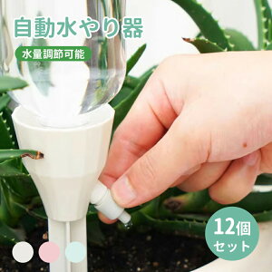 Lbv Lbv ybg{g ƒp  A 蓖 12Zbg  A 傤 @ UVXe TCN    y