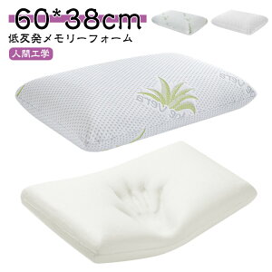 60*38cm ŃT|[g Â ᔽ ܂ z ܂ zň ᔽ N lԍHw s[    ᔽ [tH[ ܂ n ʋCQ   񂱂  