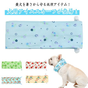 2Zbg  lbNN[[ p ybg p XJ[t ACXlbN  킢 Ђ  ΍ MǑ΍ ⊴XJ[t ۗ Ԏ ^ ^ ^ Ђ