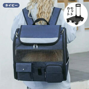 ybg L[obO LX^[t ܂肽 ybgJ[g J[g ԕt L  bN J[g ybgL[ L[J[g  L ybgL[  bN  